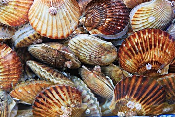 여행중에찍은모습입니다