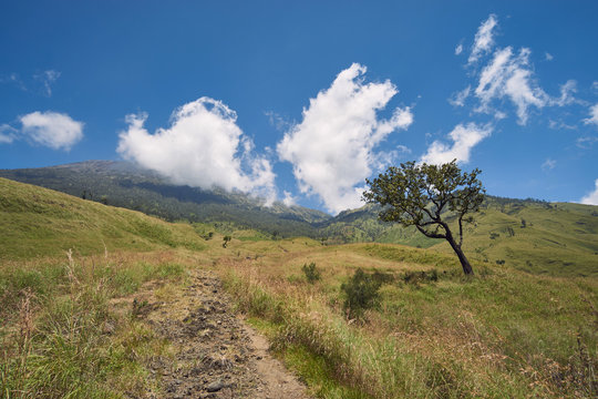 The view on Rinjani volcano