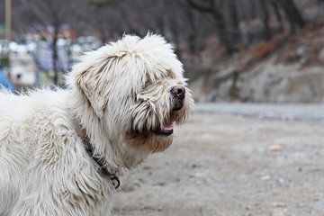 여행중에들른곳입니다