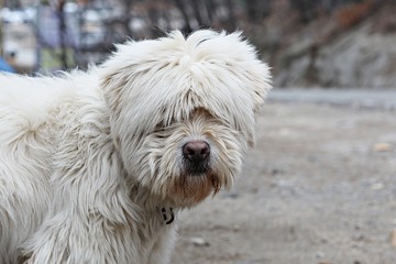 여행중에들른곳입니다