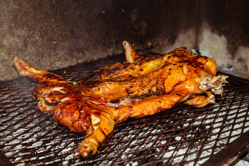 Traditional suckling pig cooked on the charcoal grill. The little pig is roasted whole on an open fire. Organic pig on the spit.