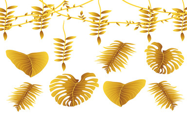 golden leafs on the white background	