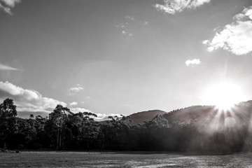 Black and white landscape scene of mountain, field, trees and sun with sunflare