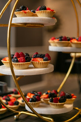 Mini desserts on a serving tray