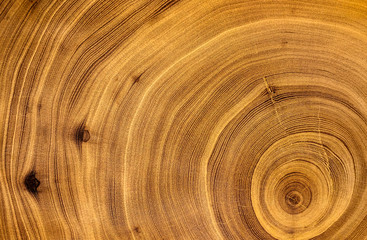 Old wooden spiral tree cut surface. Detailed warm dark brown and orange tones of a felled tree trunk or stump. Rough organic texture of tree rings with close up of end grain. - 324414593