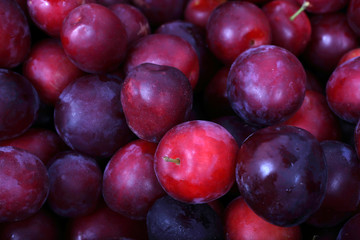 Red plums background. Fresh fruits