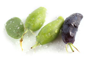 Honeyberry isolated on white. Ripe and unripe berries
