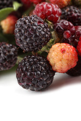 Black raspberries background (rubus idaeus) background