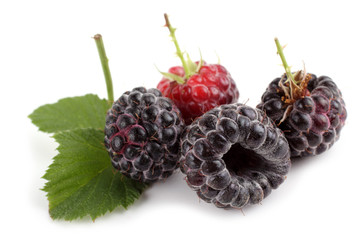 Black raspberries (Rubus idaeus) and leaf isolated on white