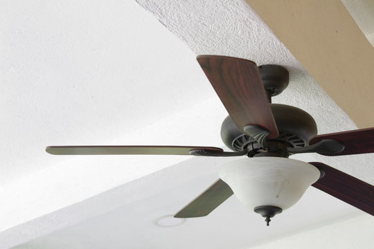 ventilador