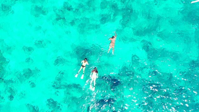snorkeling class in the tropical ocean. Exploration of the coral reef. group of tourists swimming and diving in the crystal clear sea. Belize
