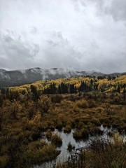Colorado Fall