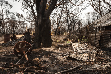 Corrugated metal and rubble left in ruins after the mega fire from the Gospers Mountain coming down villages in Blue mountains National Park in New South Wales, Australia.