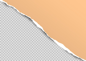 Torn paper on transparent background with space for text. Vector illustration.	