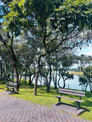 Park Lake Trees Landscape Seat Benches