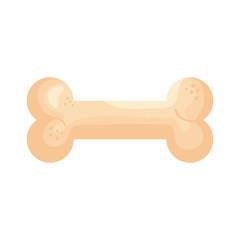 bone toy dog isolated icon vector illustration design