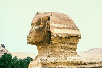 Close up of Great Sphinx of Giza in Cairo, Profile view