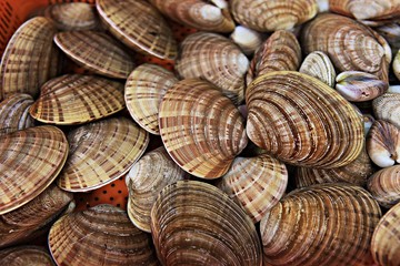 소래포구입니다