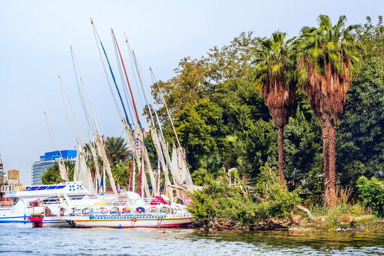 Cairo, Nile River. Egypt.