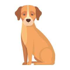 cute dog animal isolated icon vector illustration design