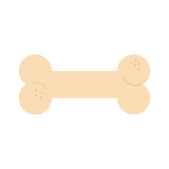 bone toy dog isolated icon vector illustration design