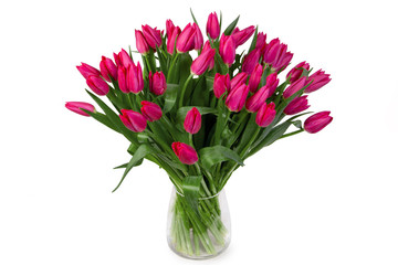 Bouquet Tulips spring flowers