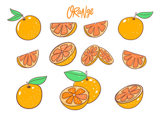 Fresh Orange big set collection. Fruit whole and slice. Vector illustration in cartoon style. Isolated on white background.