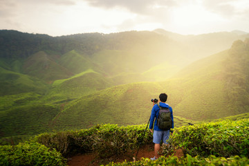 Fototapeta premium Young asian photographer traveling into tea fields with mist. Young man traveler take a photo of mountain tea field, Enjoying tea plantations in Cameron Highlands near Kuala lumpur, Malaysia