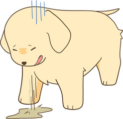 ゴールデンレトリバーの子犬（嘔吐）