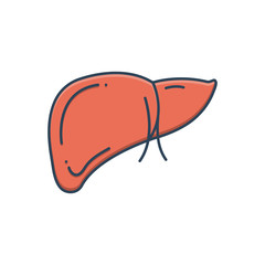 Color illustration icon for hepatology