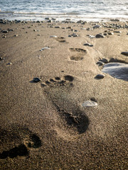 Macro photo of footprint on the wet sand going in ocean