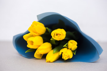 Yellow tulips in blue paper on a white and gray background