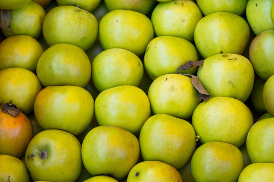 background of green whole apples of Simirenko variety