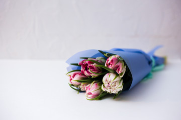 Beautiful tseti tulips on a light background