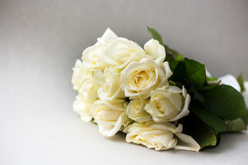 Beautiful white roses on a light background