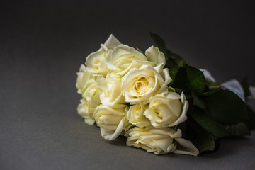 Beautiful white roses on a light background