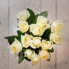Beautiful white roses on a light background