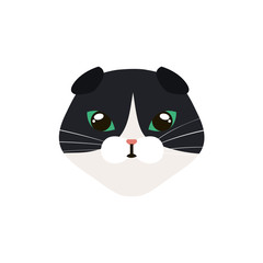 face of cat black and white isolated icon vector illustration design