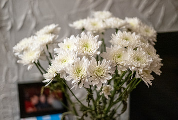 Close-up of vase of white chrysanthemums
