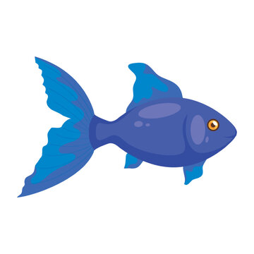 cute fish animal design