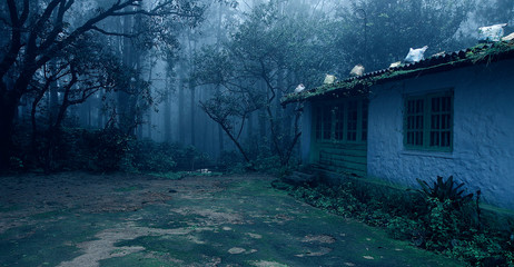 Fototapeta na wymiar forest house