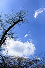 강화전등사에있는것들입니다