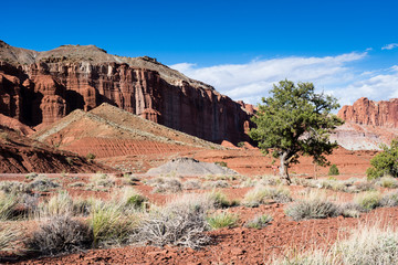 View from Panorama Point lookout at Capitol Reef National Park - Utah, USA