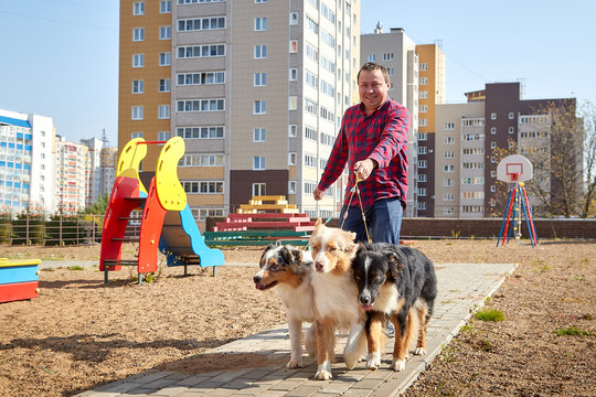 Plump man with three dogs walking on children playground in city yard with big buildings background at summer sunny day