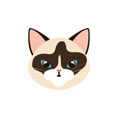 face of cat animal isolated icon vector illustration design