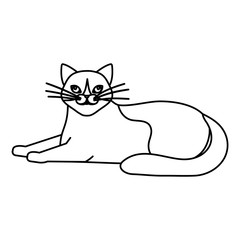 cute cat animal line style icon vector illustration design