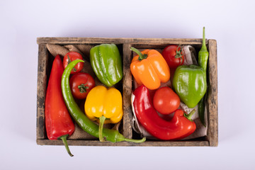 Color peppers tray in white. Top view.