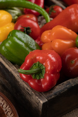 Colorful bell peppers in a wholesale tray.
