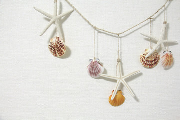 マリンテイストの背景　ヒトデと貝