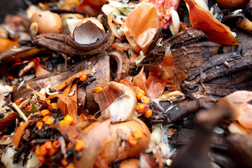Onion husk banana peel in trash can